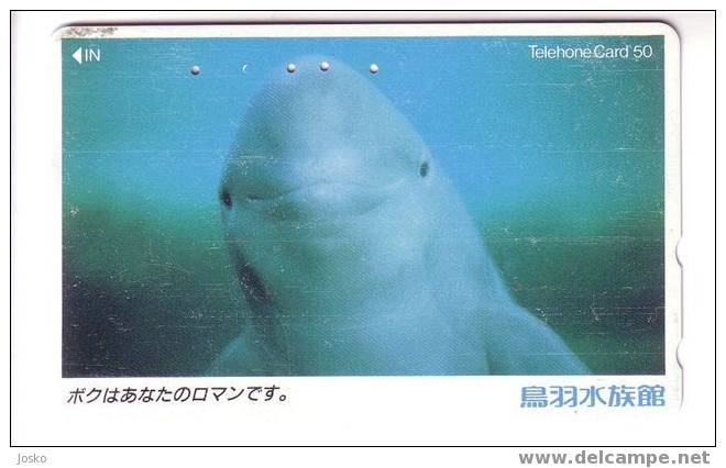 DOLPHIN ( Japan ) *** Dauphin - Delphin - Delfin – Delphine - Dauphine – Delfino– Dauphins Dolphins ( Japon ) - See Scan - Delfines