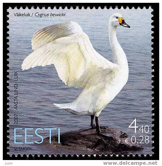 Estonia 2007. Swan - Swans