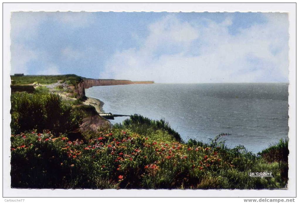 K3 - VEULES-les-ROSES - Vue Générale De La Plage Prise Des Falaises D'Amont Couvertes De Roses Sauvages - Veules Les Roses