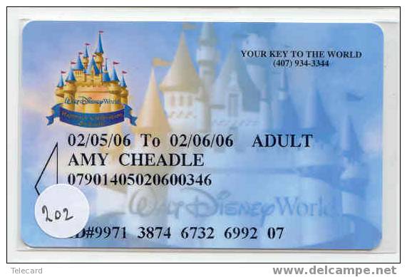 Disney PASSEPORT Walt Disney World Orlando USA  (202) - Disney