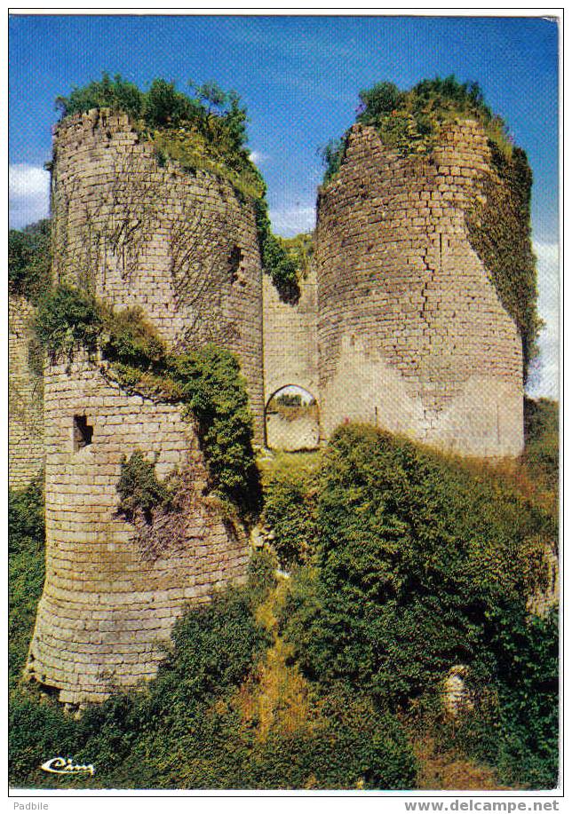 Carte Postale 86 De Gençay - Les Ruines Du Château Fort - Gencay