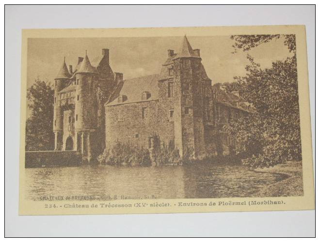 (150) -1- Carte Postale Sur Chateau De Trecesson Environs De Ploermel - Ploërmel