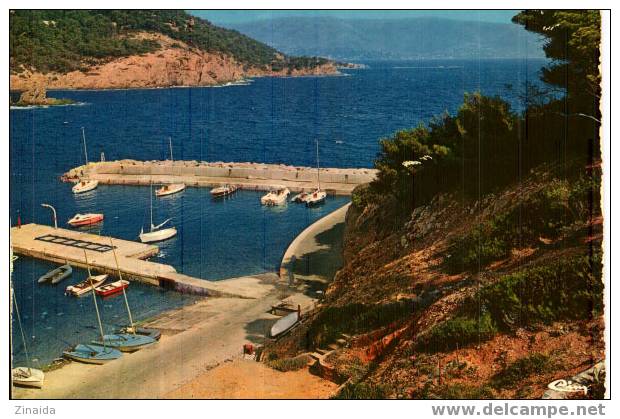 CARTE POSTALE DE CAP BENANT - VUE GENERALE - LE PORT - Autres & Non Classés