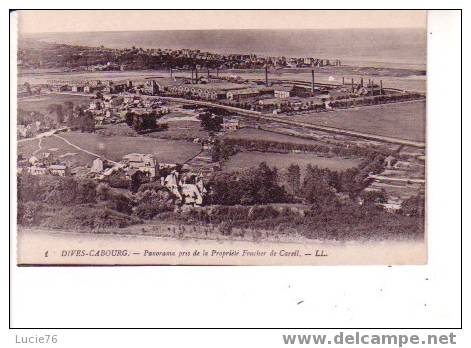 DIVES - CABOURG - Panorama Pris De La Propriété  FOUCHER DE CAREIL - Dives