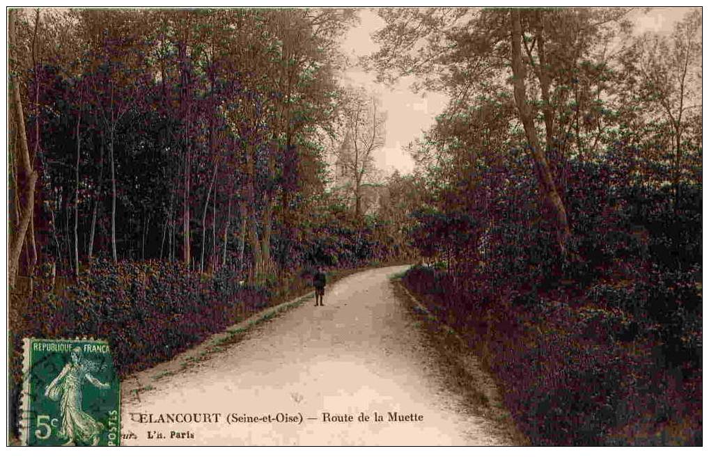 Elancourt - Route De La Muette - Elancourt