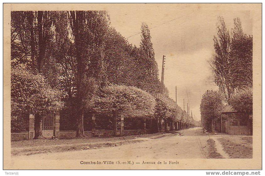 CPA De Combs La Ville ( Seine Et Marne 77 ): Avenue De La Forêt - Combs La Ville
