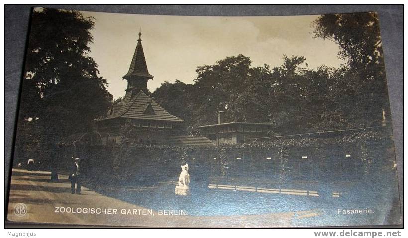 ZOO, Berlin, Germany,Original Photo, Vintage Postcard - Charlottenburg