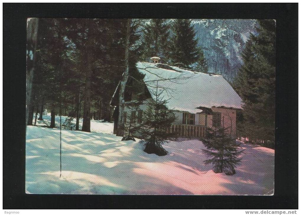 BOHINJSKO JEZERO VOGANJ Postcard SLOVENIA RIFUGIO - Alpinisme