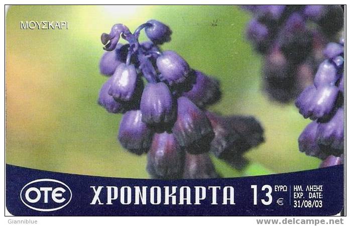 Flower/Fleur/Muscari - Greece Prepaid Phonecard/chronocard - Fleurs