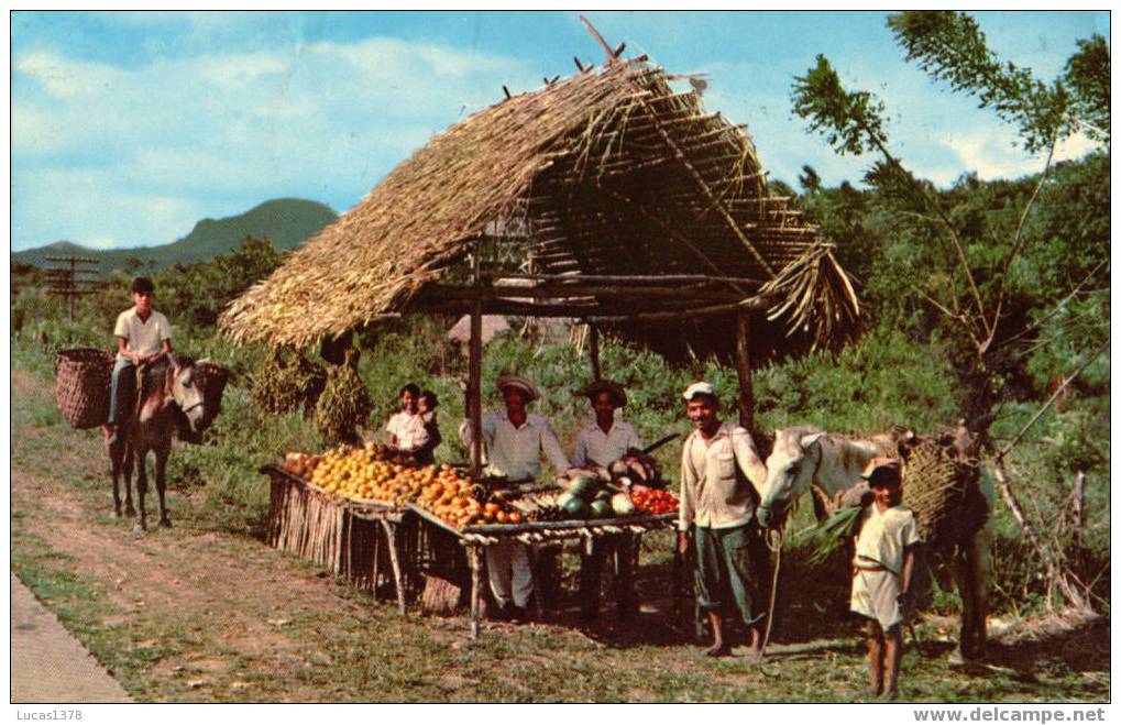 UN RANCHITO TIPICO / DONDE SE VENDEN FRUTAS - Panama