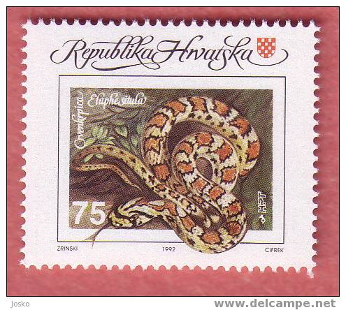 CROATIA  ( Hrvatska ) - Elaphe Situla ( Snake , Serpent , Serpente , Snakes ) -  Mint Stamp - Autres & Non Classés