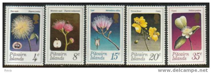 PITCAIRN  ISLANDS SET OF 5  FLOWERS FLOWER   MINT 1973  SG130-134 SPECIAL PRICE !! READ DESCRIPTION !! - Pitcairn Islands