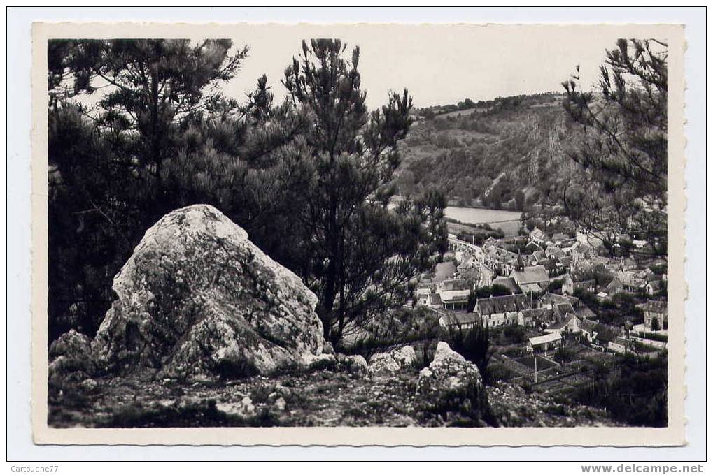 K4 - SAINT-LEONARD-des-BOIS - Butte De Narbonne - Vue à Travers Les Pins (1961 - Oblitération Cercle Tiretés) - Saint Leonard Des Bois