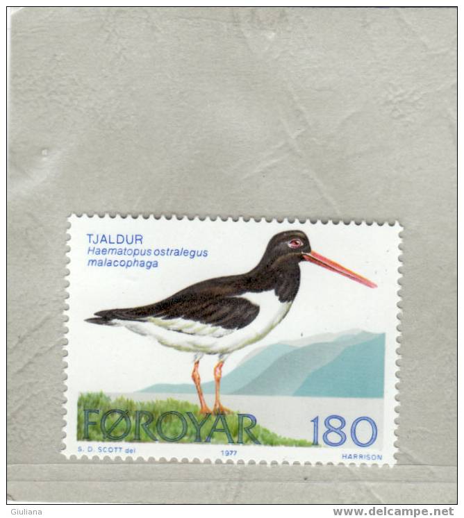 Isole Faroyar -  N. 23** (Unificato) 1977 Uccelli Delle Isole - Beccaccia Di Mare - Seagulls