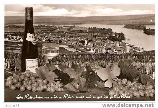 Rudesheim Am Rhein - Rheingau