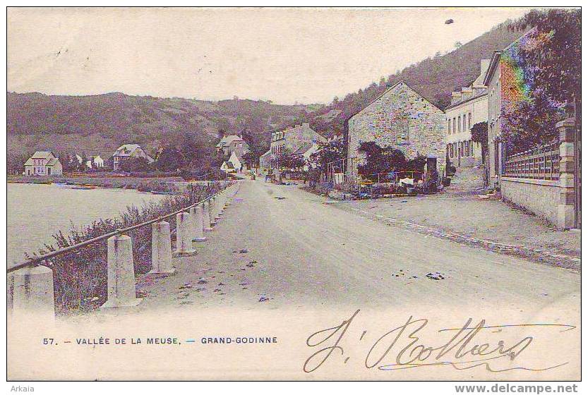 GODINNE = Grand Godinne - Vallée De La Meuse  (Bertels  N° 57) 1907 - Yvoir