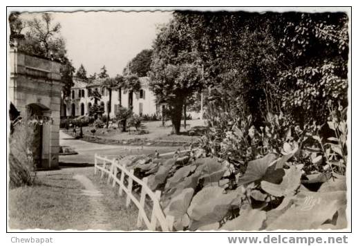 Barbotan-les-Thermes - Un Coin Du Parc - Les Lotus - Barbotan