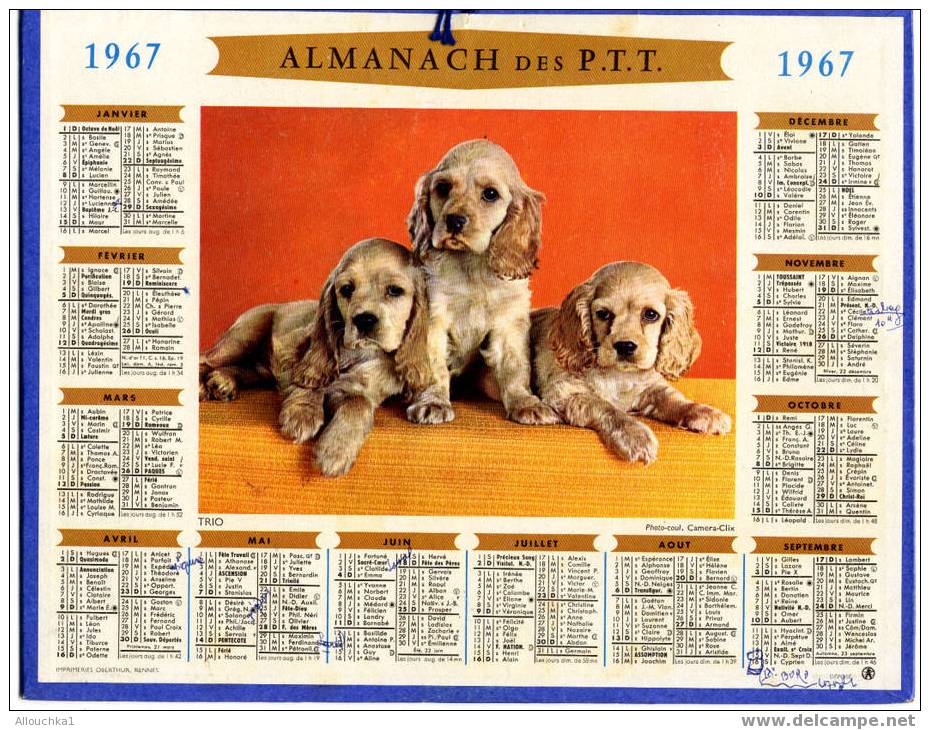 CALENDRIER ALMANACH DES PTT GRAND FORMAT ANNEE 1966 THEME  DES ANIMAUX TRIO DE CHIENS /CHIOTS - Tamaño Grande : 1961-70