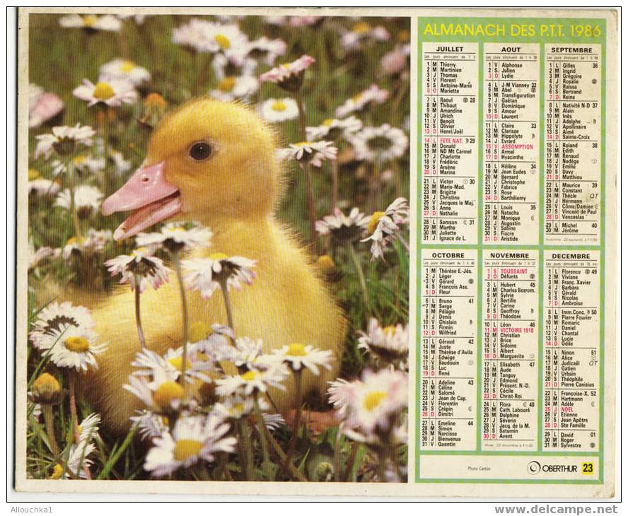 CALENDRIER ALMANACH  PTT GRAND FORMAT EN DOUBLE ANNEE 1986 LAPIN  /CANARD - Grand Format : 1981-90