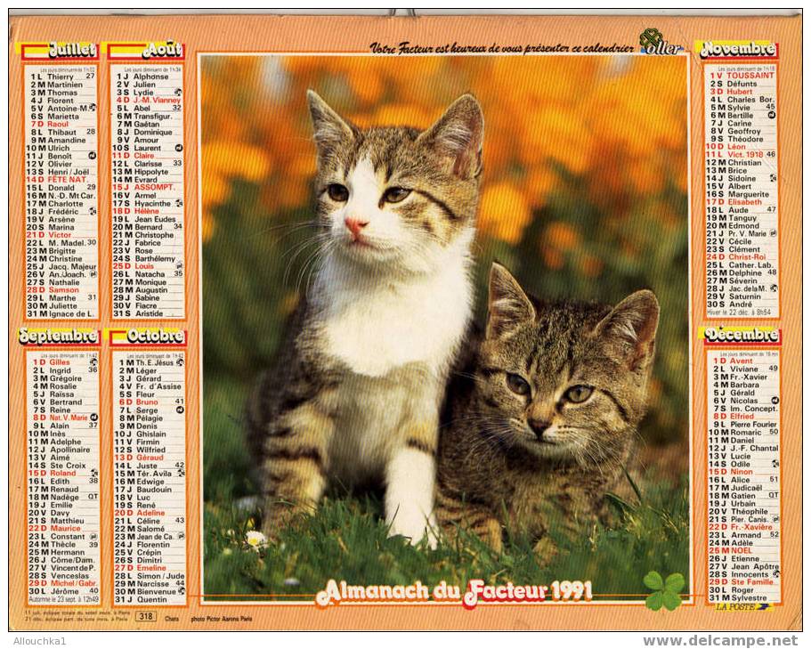 CALENDRIER ALMANACH  PTT GRAND FORMAT EN DOUBLE ANNEE 1991 CHIEN CANICHE  /CHAT /CHATON - Grand Format : 1991-00