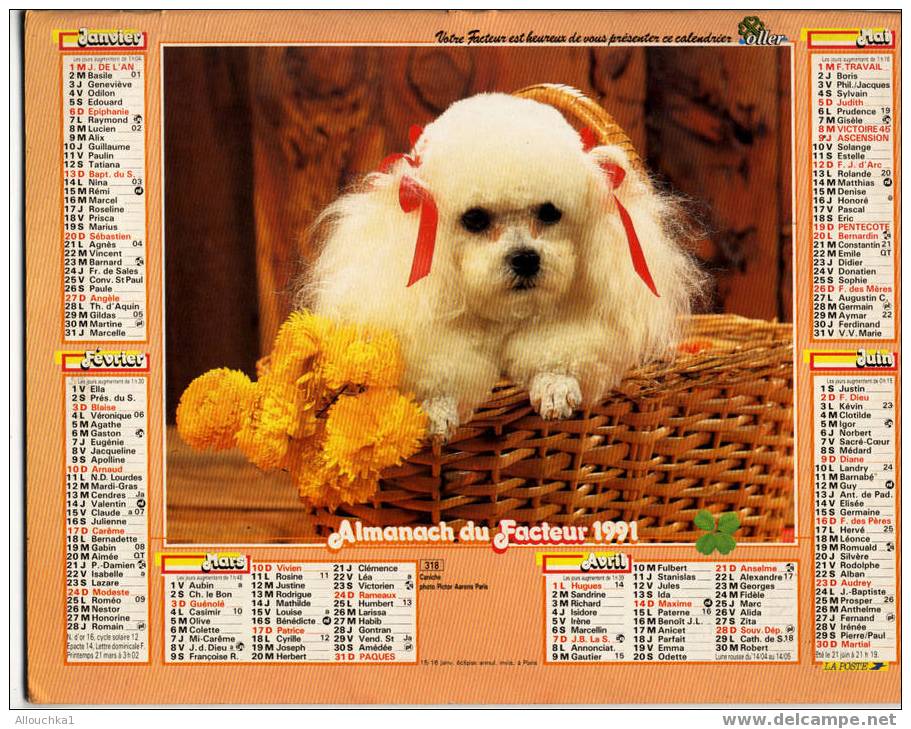 CALENDRIER ALMANACH  PTT GRAND FORMAT EN DOUBLE ANNEE 1991 CHIEN CANICHE  /CHAT /CHATON - Big : 1991-00