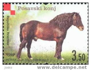 POSAVINA HORSE  -  Autochthonous Breeds ( Kroatien  MNH** ) Cheval Caballo Pferd Cavallo Paard Horses Chevals Equus - Croacia