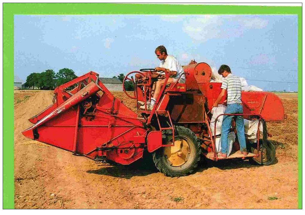 OINVILLE SAINT LIPHARD 1991 EN BEAUCE MOISSON DU BLE SUR MASSEY HARRIS PHOTO M. LAURENT CARTE SUPERBE ETAT - Cultures