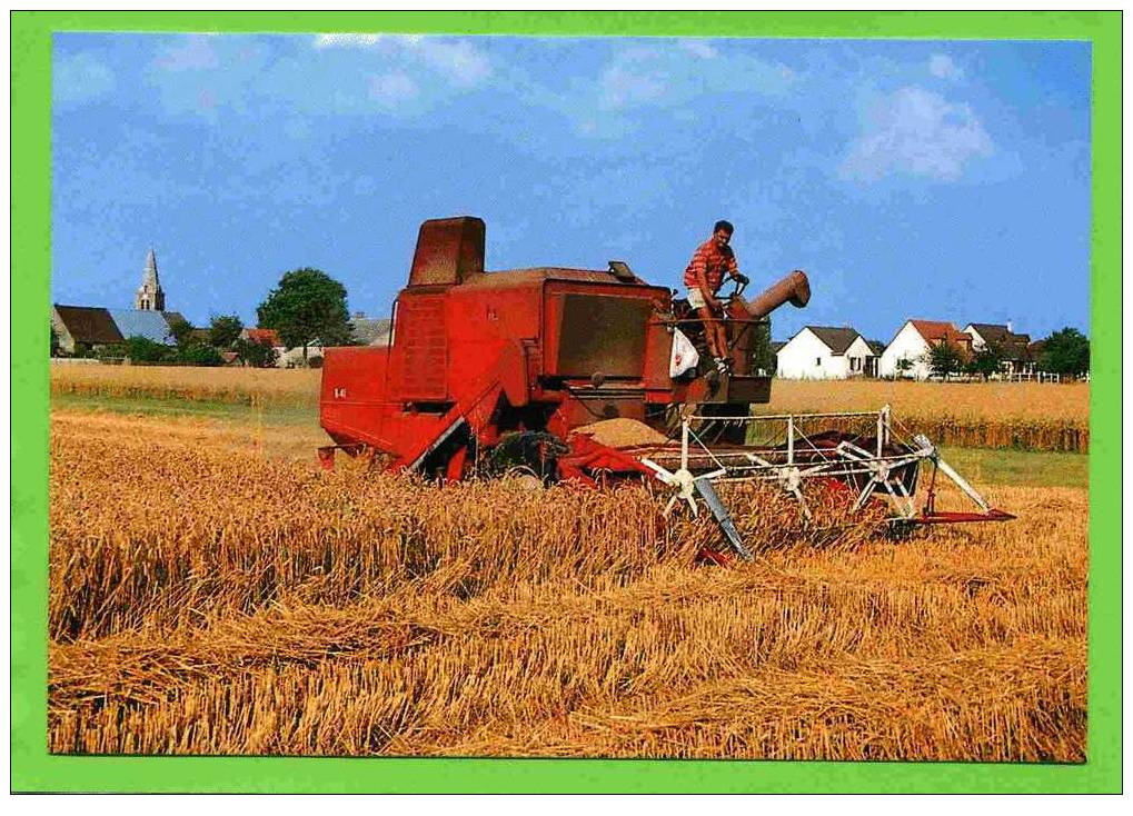 SAINT ESCOBILLE 1994 EN BEAUCE MOISSON DU BLE SUR INTERNATIONAL 841  PHOTO M. LAURENT CARTE SUPERBE ETAT - Cultivation