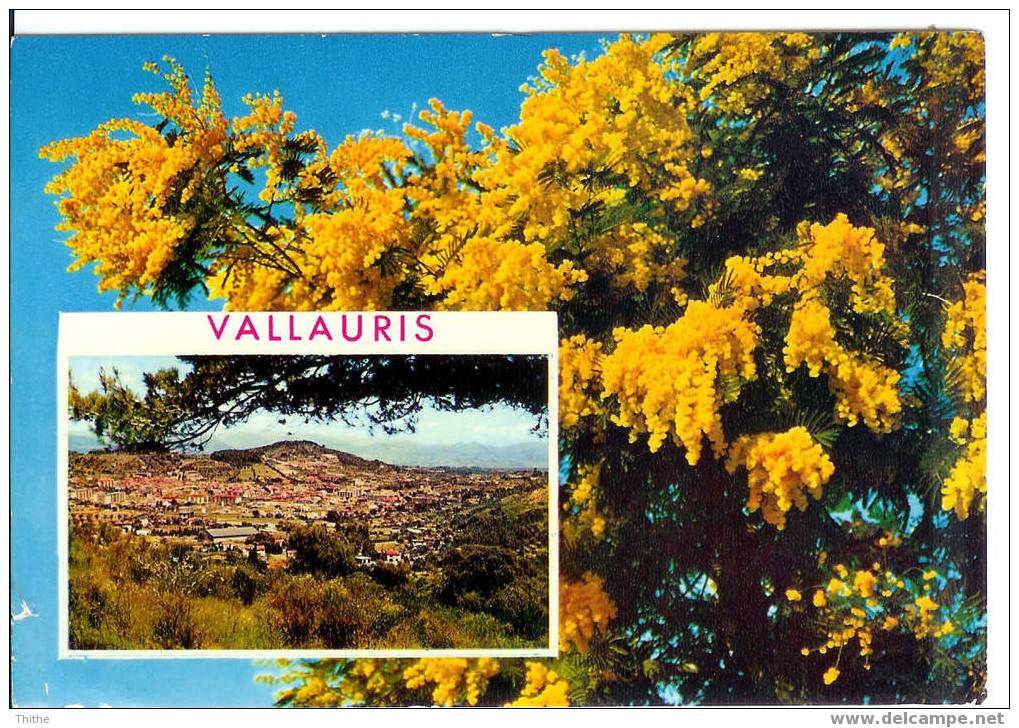 VALLAURIS - Vallauris