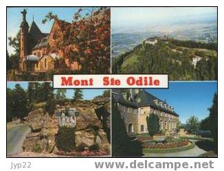 Jolie CP 67 Mont Sainte Odile - Multivue - écrite - Sainte Odile