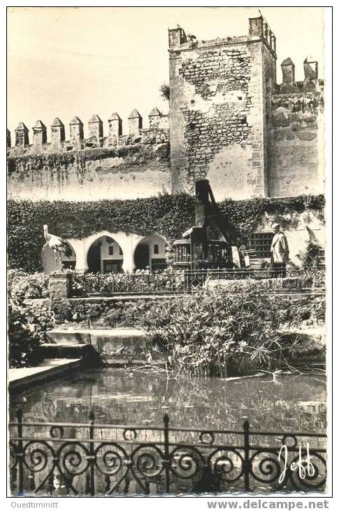 Maroc.Rabat.Jardin Des Oudaïa..Belle Cpsm Dentelée. - Rabat