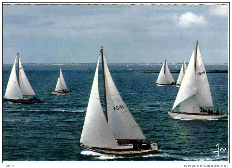 Carte Postale  56. LA TRINITE-SUR-MER  Jour De Régate  Course De Voiliers - La Trinite Sur Mer