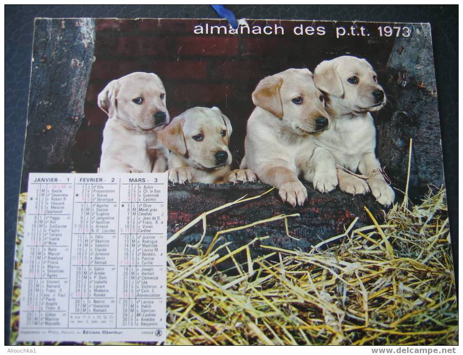 CALENDRIER GRAND FORMAT ALMANACH DES PTT/ ANNEE 1973 CHIOTS ET CHATON NON RIGDE + PHOTOS INTERIEUR COLIBII CHEVAUX - Grand Format : 1971-80