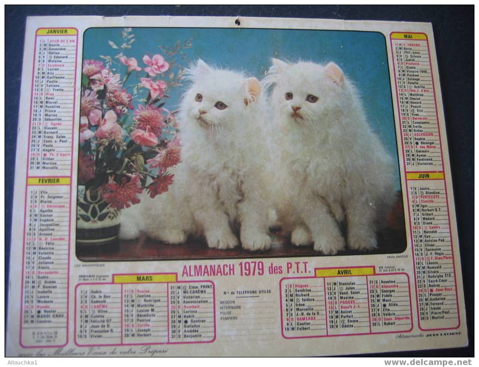 CALENDRIER GRAND FORMAT DOUBLE ALMANACH DES PTT1979 LES MAGNFIQUES CHATS ANGORA/ FLEURS COMPOSITION FLORALE - Grossformat : 1971-80