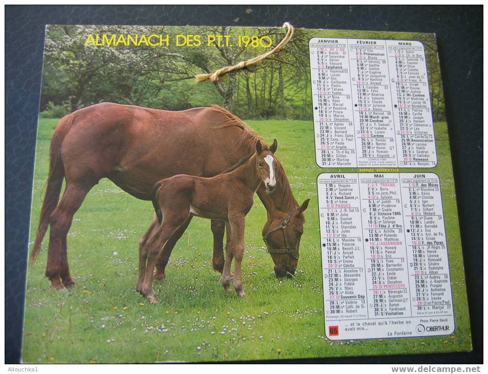 CALENDRIER GRAND FORMAT DOUBLE ALMANACH DES PTT    1980 CHEVAUX ET POULAINS - Big : 1971-80