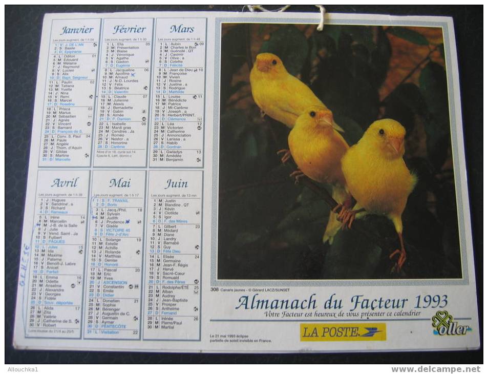 CALENDRIER GRAND FORMAT DOUBLE ALMANACH  PTT 1993 CANARIS JAUNES/ OISEAUX DES ILES EXOTIQUES - Big : 1991-00