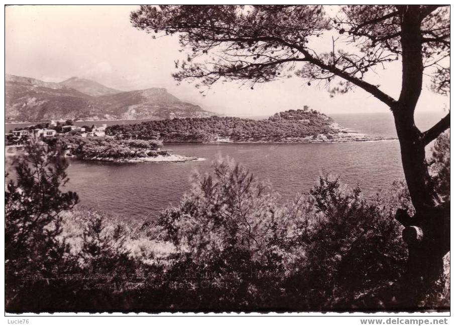 SAINT JEAN CAP FERRAT   -  Vue Sur SAINT HOSPICE, CAP D´AIL Et La Tête Du Chien - N°  1267 - Saint-Jean-Cap-Ferrat