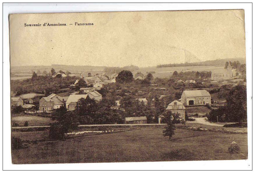 9717 - Souvenir D' Amonines - Panorama - Erezée