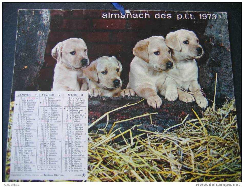 CALENDRIER GRAND FORMAT ALMANACH DES PTT/ ANNEE 1973 CHIOTS ET CHATON NON RIGDE + PHOTOS INTERIEUR COLIBRI CHEVAUX - Grossformat : 1971-80