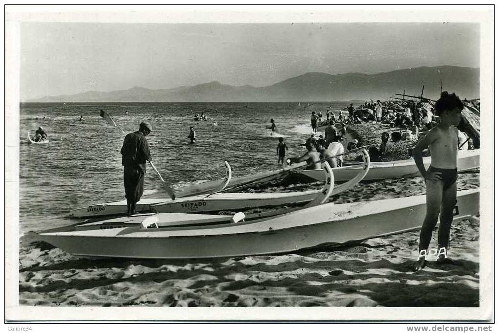 66 CANET PLAGE Bord De Mer Et Les Albères (gondolys Skirado ) - Canet Plage