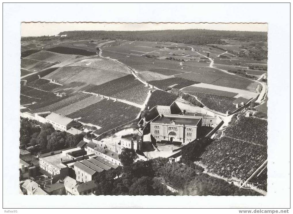 AY EN CHAMPAGNE - Vignobles Et Caves - Vue Aérienne - Ay En Champagne