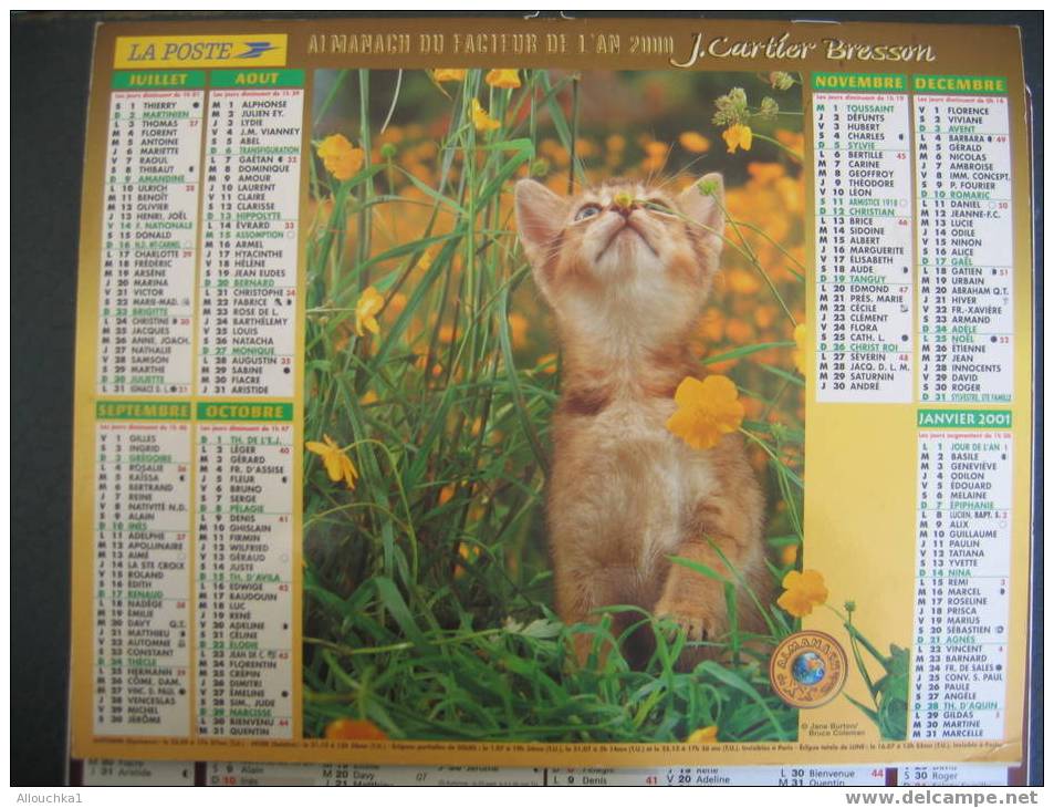 CALENDRIER ALMANACH DU FACTEUR GRAND FORMAT DE 2000 CHATS /CHATONS - Formato Grande : 1991-00