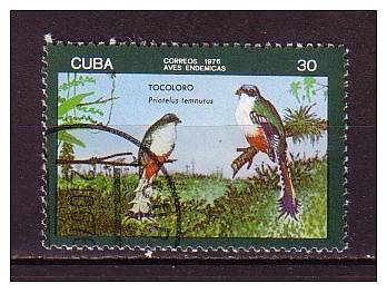 G0633 - CUBA Yv N°1943 OISEAUX BIRDS - Usati