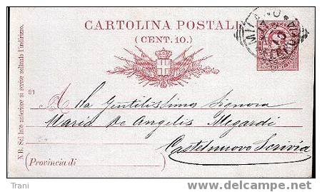 CARTOLINA POSTALE - Anno 1891 - Entiers Postaux