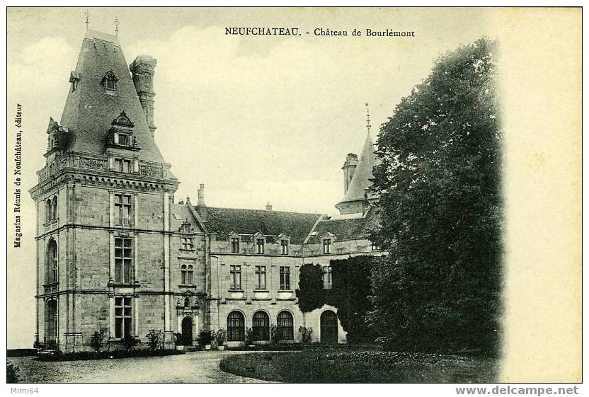 88 .  NEUFCHATEAU . CHATEAU DE BOURLEMONT . - Neufchateau