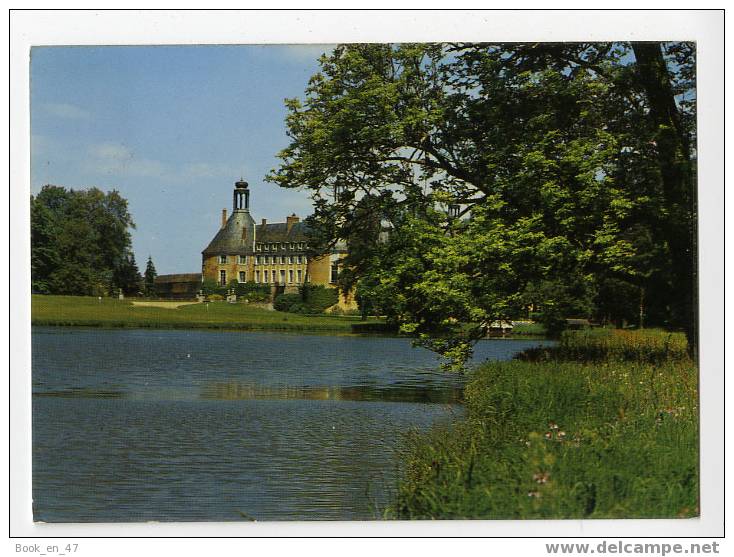 {39703} 89 Yonne Saint Fargeau , Le Château Vu De La Pièce D' Eau ; Editions Nivernaises ; Circulée En 1979 - Saint Fargeau