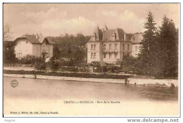 VOSGES -ref No 8817- Chatel Sur Moselle - Rive De La Moselle - Bon Etat - Chatel Sur Moselle