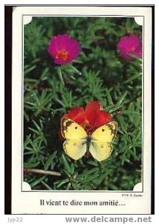 Jolie CP Papillon Butterfly Butterflies Schmetterling Vlinders Farfalle Borboletas Mariposas Il Vient Te Dire Mon Amitié - Butterflies