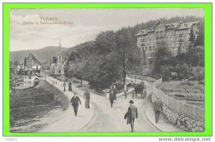 TRIBERG - PARTIE B. SCHWARZWALD-HOTEL -  WELL ANIMATED - CARD NEVER BEEN USE - - Hochschwarzwald