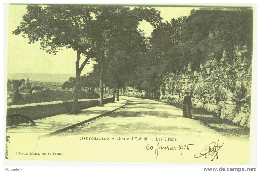 NEUFCHATEAU - ROUTE D EPINAL - LES CRANS - Neufchateau